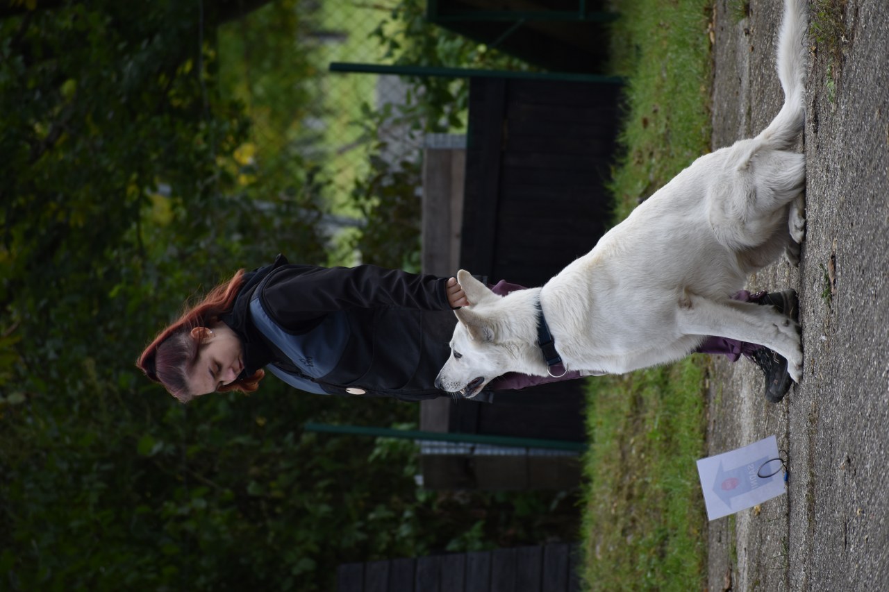 DSC_0903_1280x853.JPG